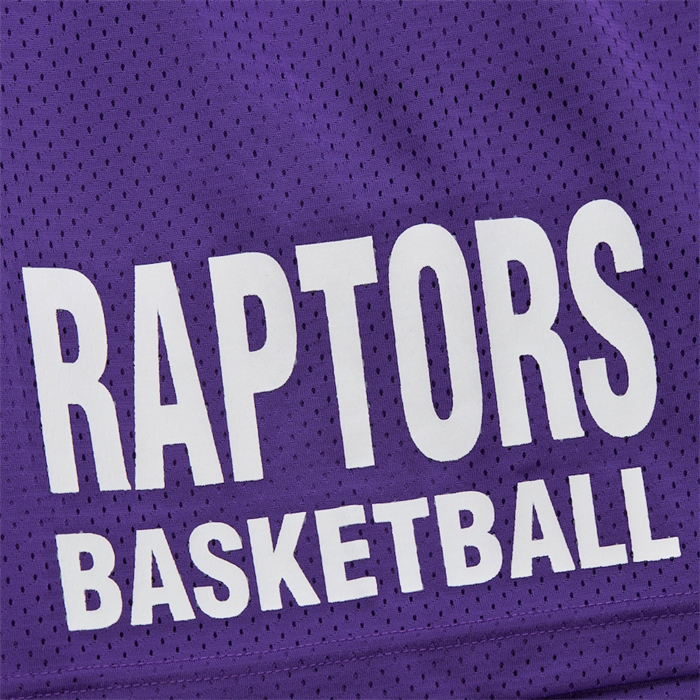 Pantalone Toronto Raptors Mitchell & Ness Hardwood Classics Violeta